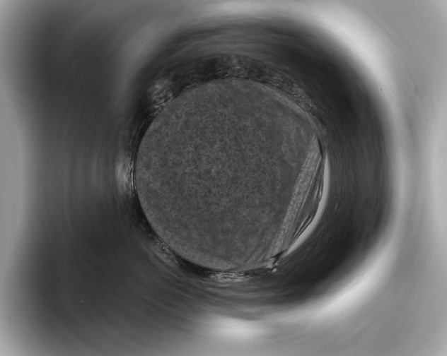 X0000096640766200802261258