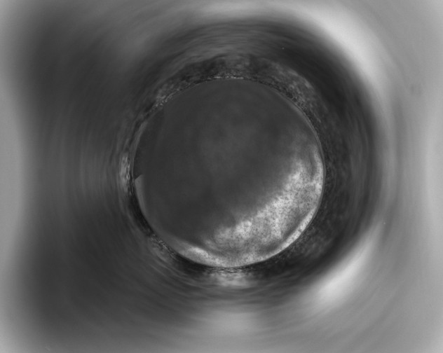 X0000096640767200802261258