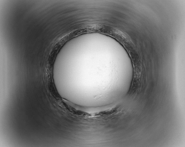 X0000096640773200802261257