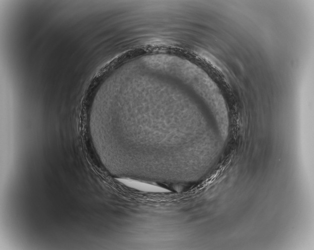 X0000096640775200802261257