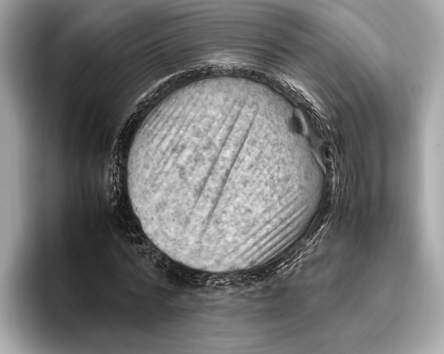 X0000096640776200802261257