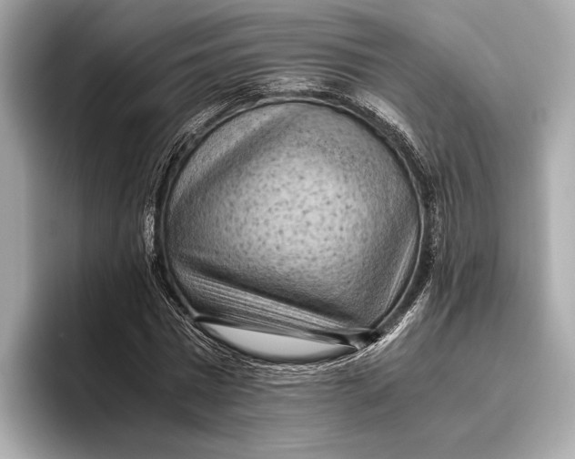 X0000096640777200802261257