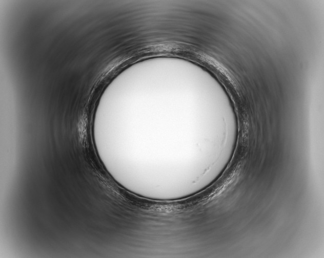 X0000096640778200802261257