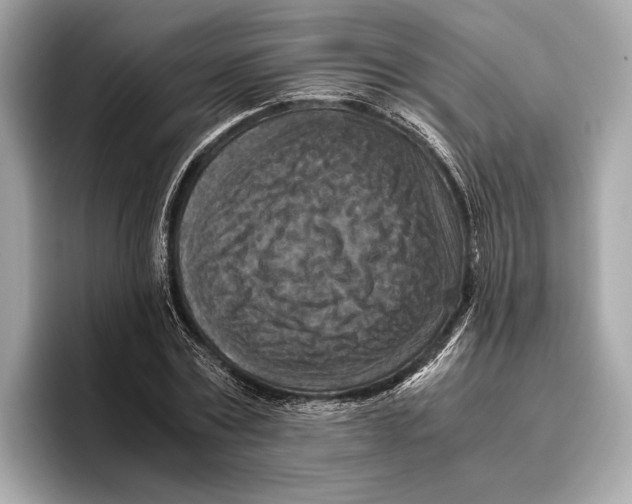 X0000096640779200802261257