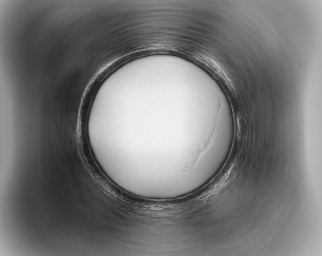 X0000096640780200802261257