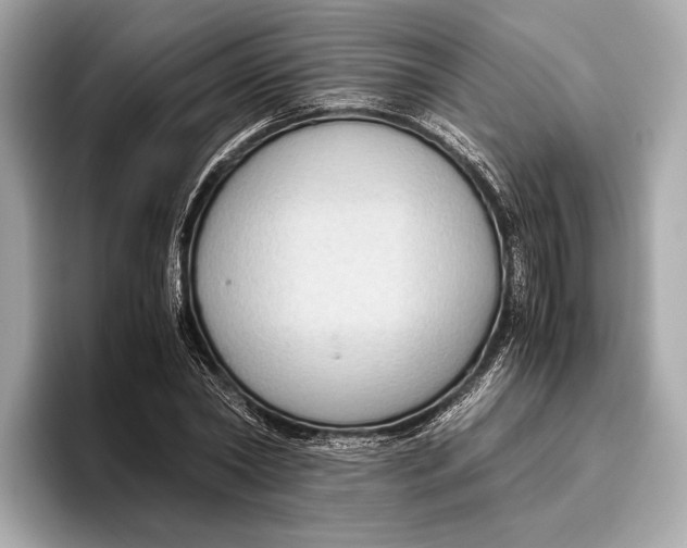 X0000096640782200802261257