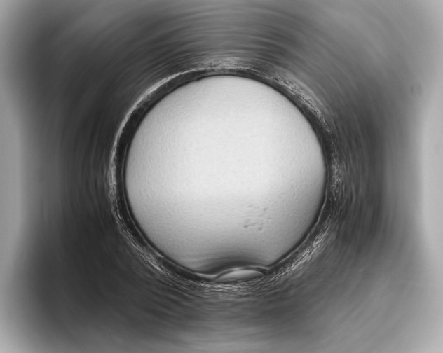 X0000096640784200802261257