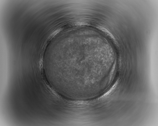 X0000096640785200802261257