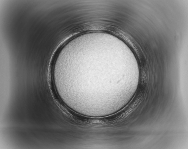 X0000096640787200802261257