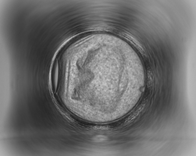 X0000096640788200802261257