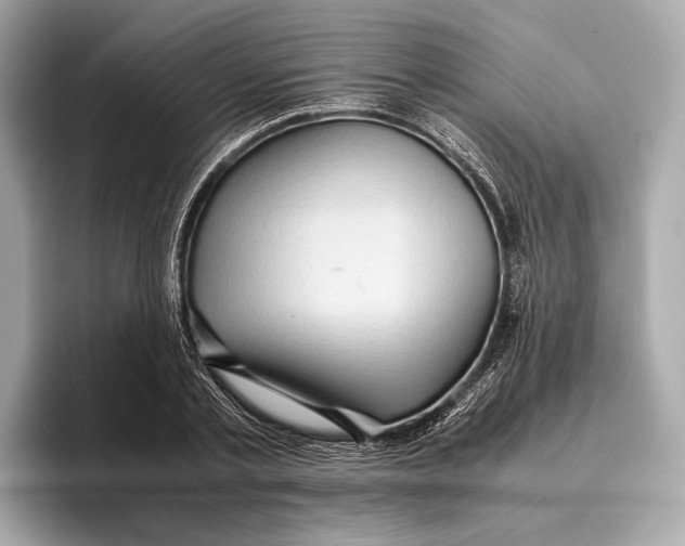 X0000096640789200802261257