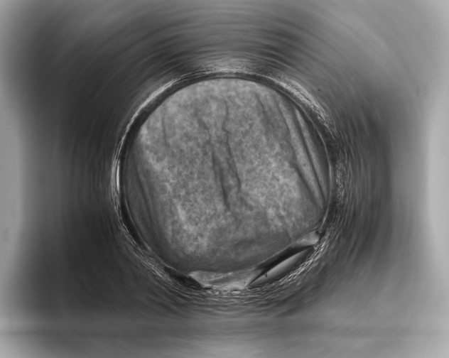 X0000096640790200802261257