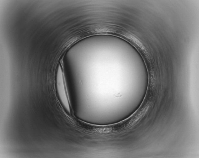 X0000096640793200802261257