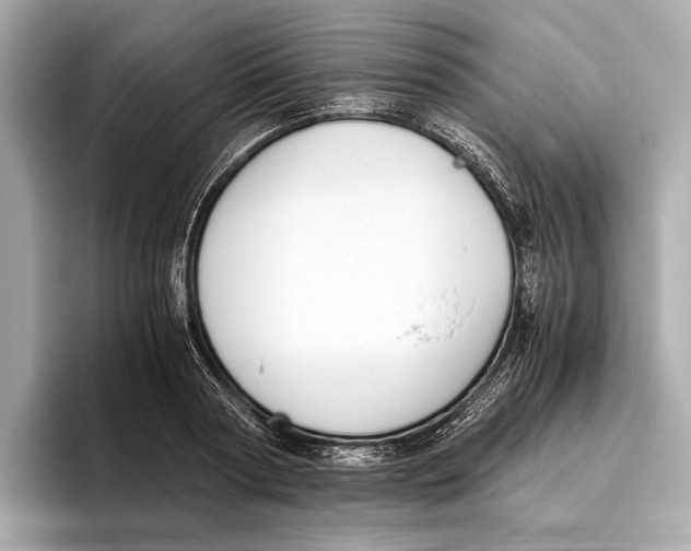 X0000096640794200802261257