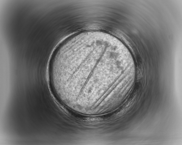 X0000096640795200802261257