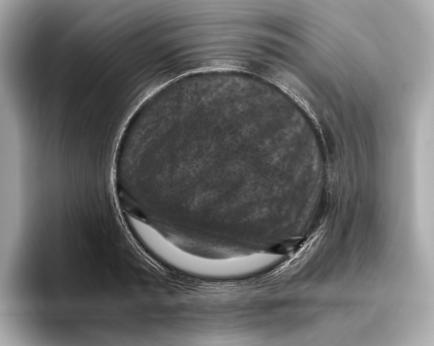 X0000096640797200802261257