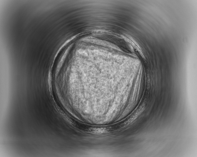 X0000096640798200802261257