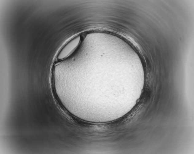 X0000096640799200802261257