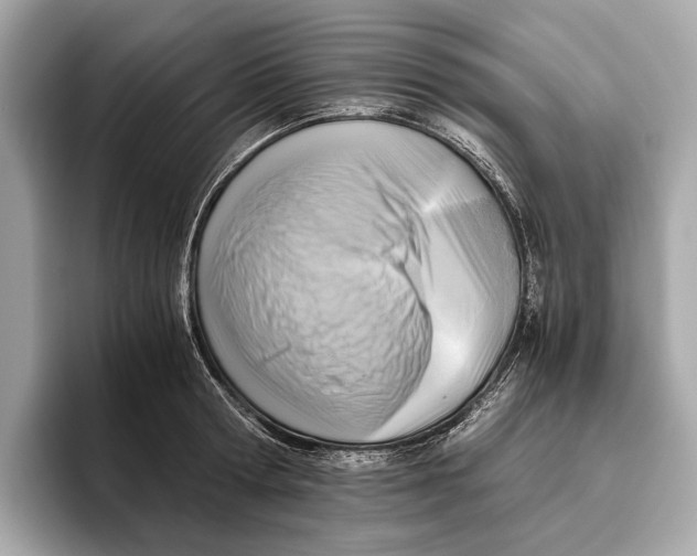 X0000096640802200802261257