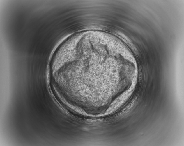 X0000096640804200802261257