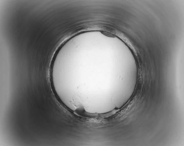 X0000096640805200802261257