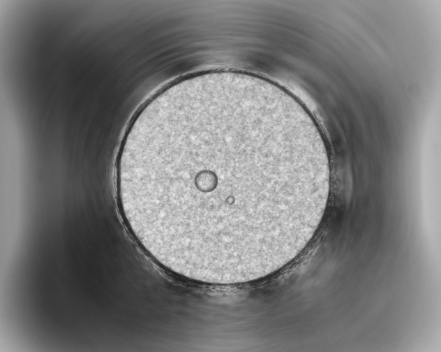 X0000096640807200802261257