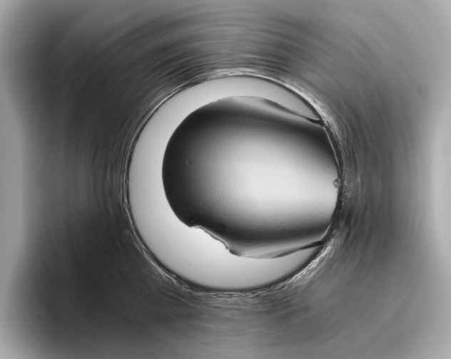 X0000096640809200802261256