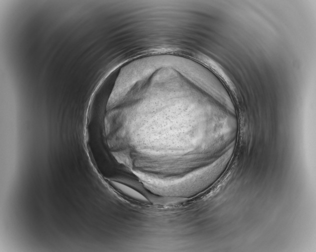 X0000096640810200802261256