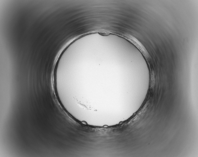 X0000096640812200802261256