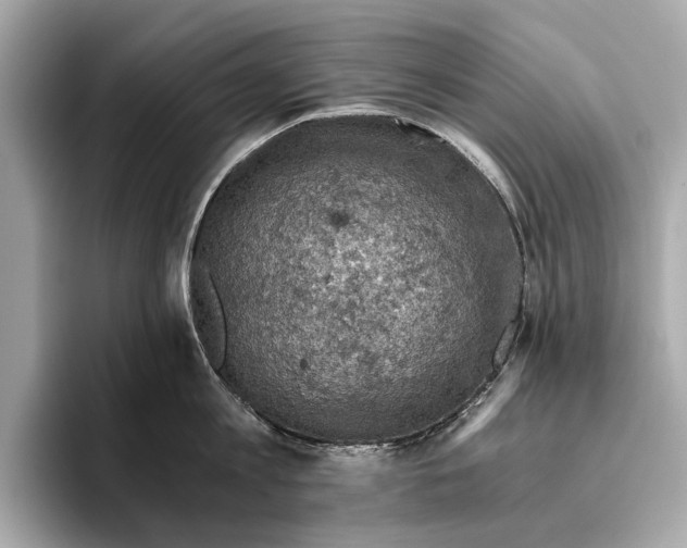 X0000096640813200802261256