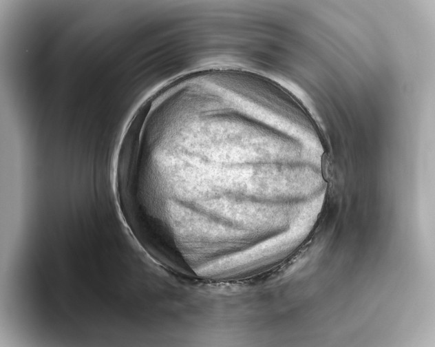 X0000096640815200802261256