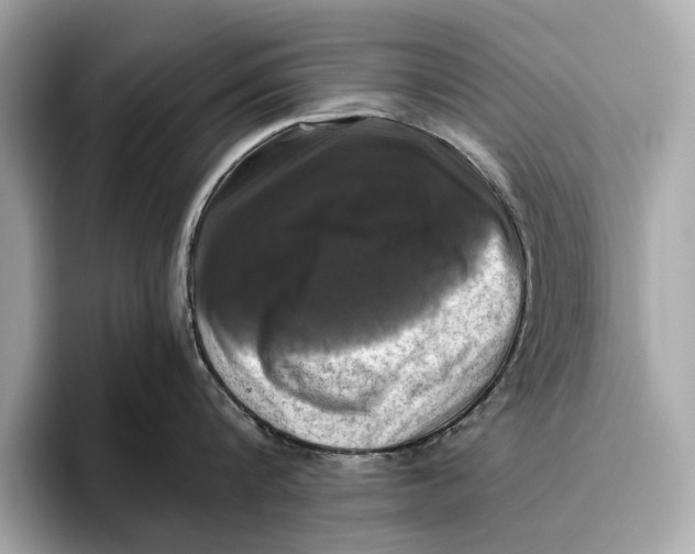 X0000096640816200802261256