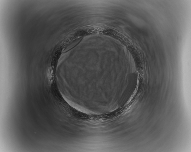 X0000096640818200802261256