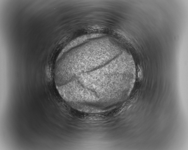 X0000096640819200802261256