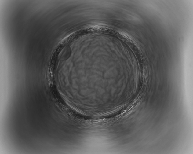 X0000096640822200802261256