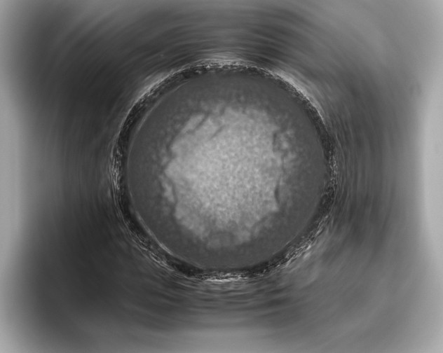 X0000096640823200802261256