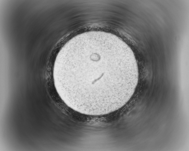 X0000096640824200802261256