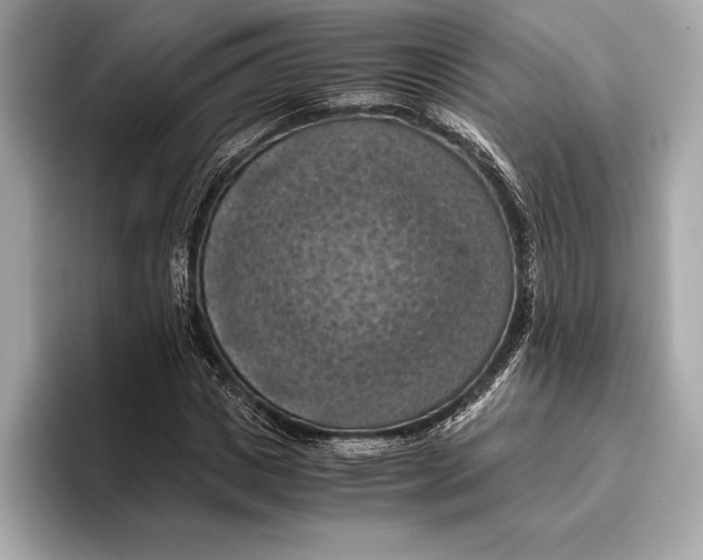 X0000096640825200802261256