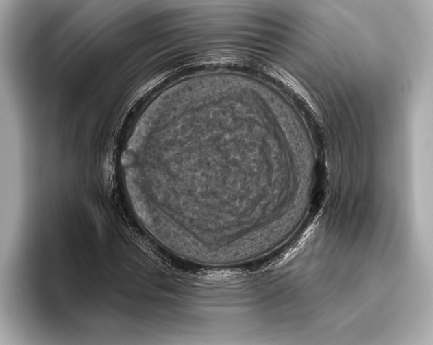 X0000096640826200802261256