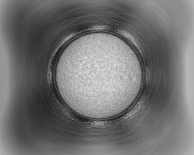 X0000096640827200802261256