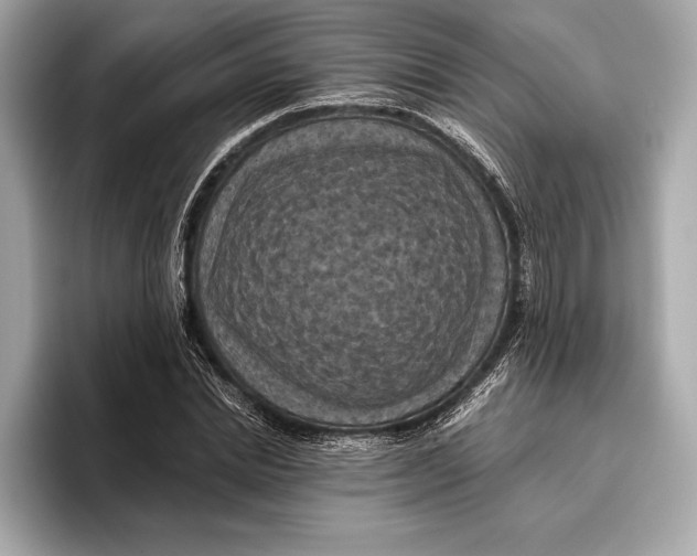 X0000096640830200802261256