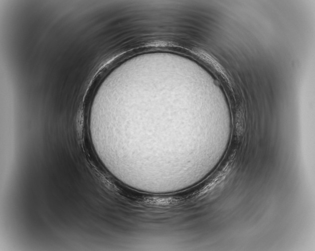 X0000096640831200802261256