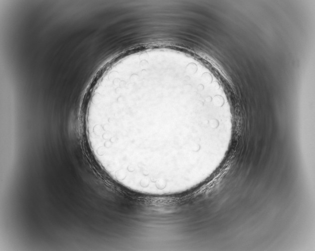 X0000096640832200802261256