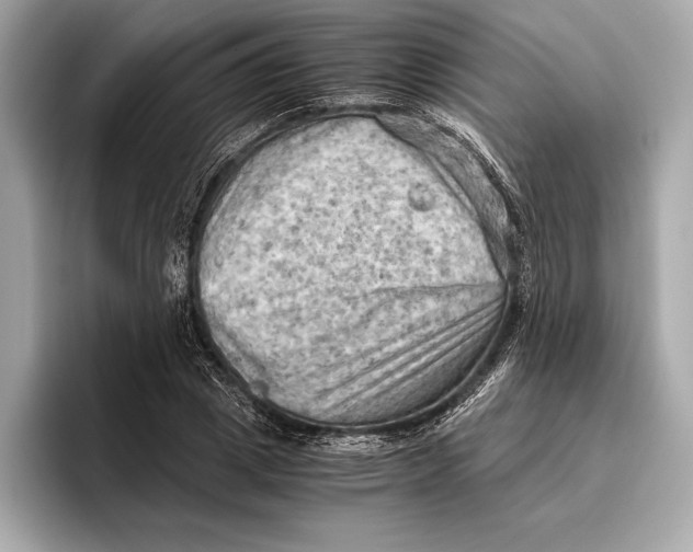 X0000096640833200802261256