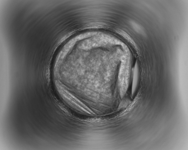 X0000096640834200802261256