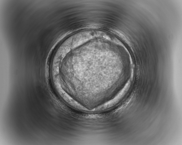 X0000096640835200802261256