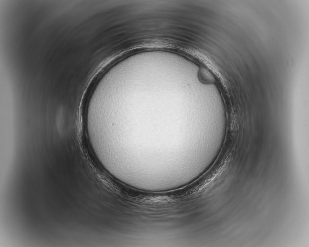 X0000096640837200802261256