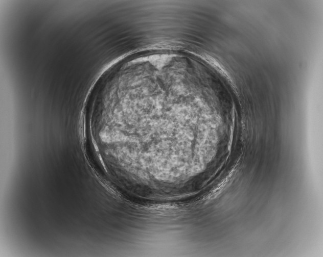 X0000096640838200802261256