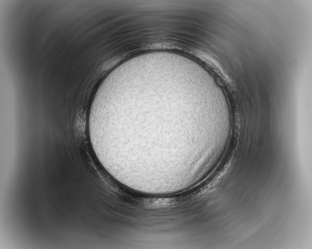 X0000096640841200802261256