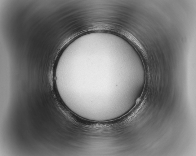 X0000096640842200802261256